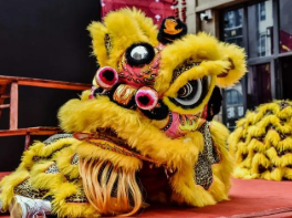 舞獅 舞獅