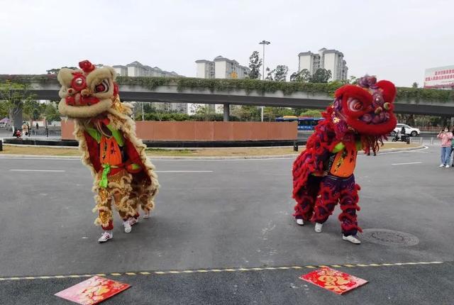 舞龍與舞獅好看嗎？獅舞龍騰威四海，追云逐日逐日氣勢升！(圖9)